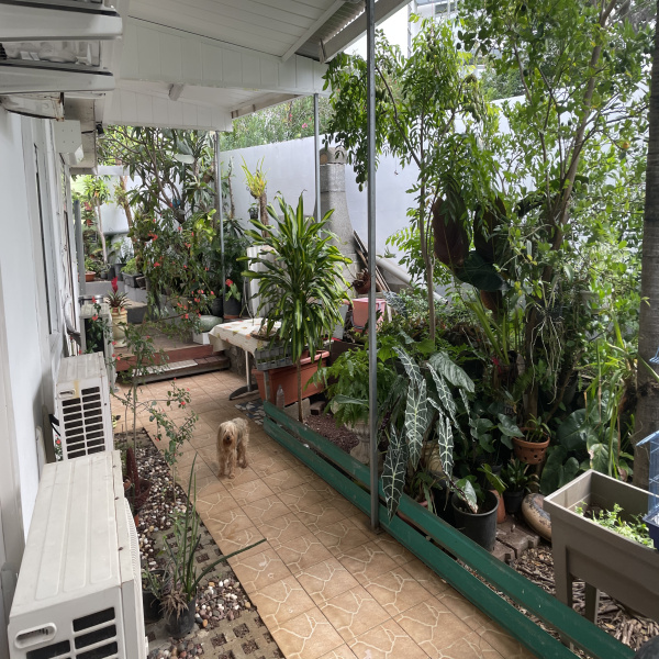 Offres de vente Maison Saint-Denis 97400