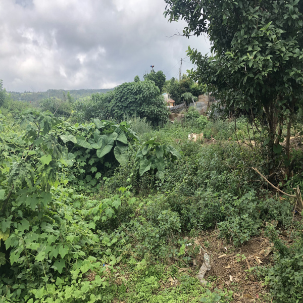 Offres de vente Terrain Trois bassins 97426