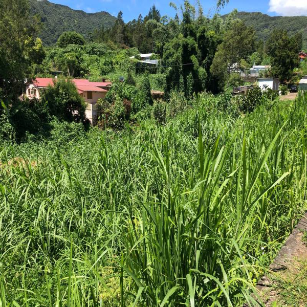 Offres de vente Terrain Le dos d ane 97419