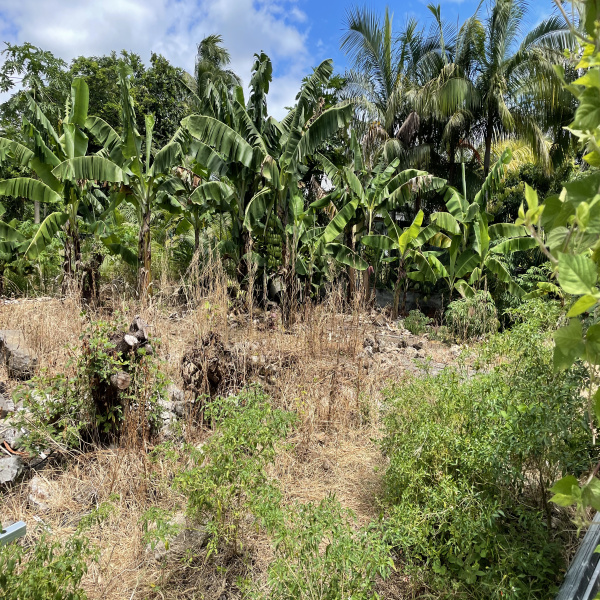 Offres de vente Terrain Saint-Benoît 97470
