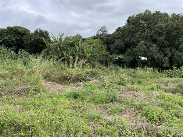 Offres de vente Terrain Sainte-Anne 97437