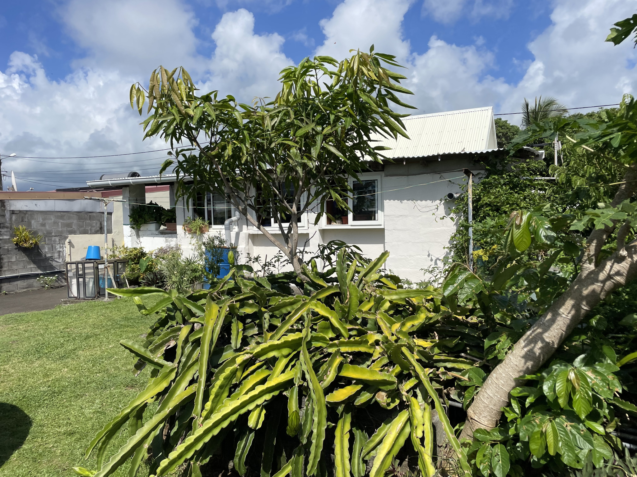 Agence immobilière de KAZE REUNION IMMOBILIER